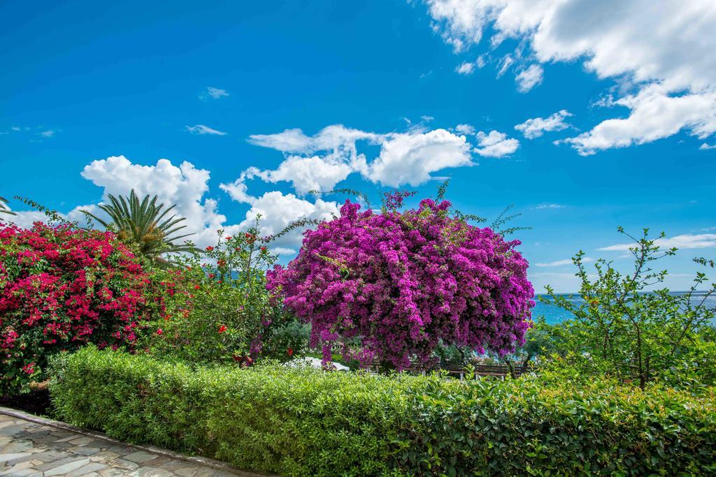 Douka Sea Front Residencies Apartman Monemvasziá Szoba fotó